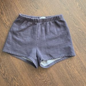 Aritzia TNA blue / purple shorts